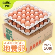 スズキのたまご　地養卵　MS～L　50個