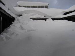 令和8年1月豪雪