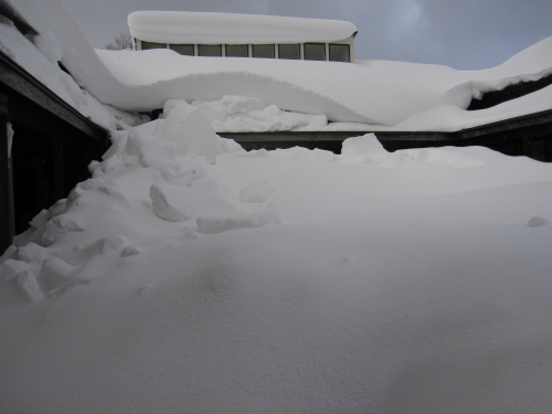 令和8年1月豪雪