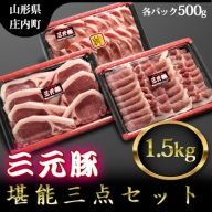 【109-021】ブランド豚「庄内三元豚」3点セット（計1.5kg）