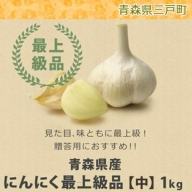 人気の青森県産!「にんにく」最上級品(中サイズ・1kg)【2019年産】