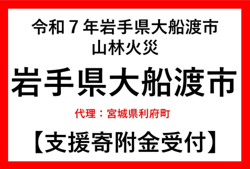 令和7年2月岩手県大船渡市山林火災