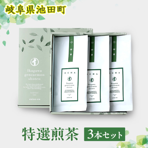 特選煎茶3本セット お茶 緑茶 104467 - 岐阜県池田町