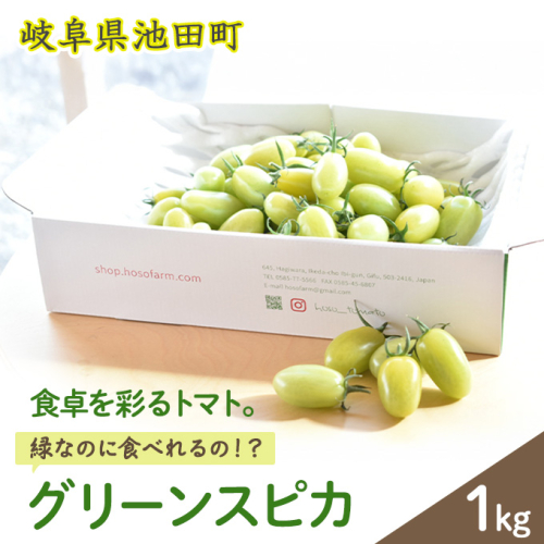 食卓を彩るトマト。緑なのに食べれるの!?グリーンスピカ(1kg) とまと 野菜 ミニトマト 102693 - 岐阜県池田町