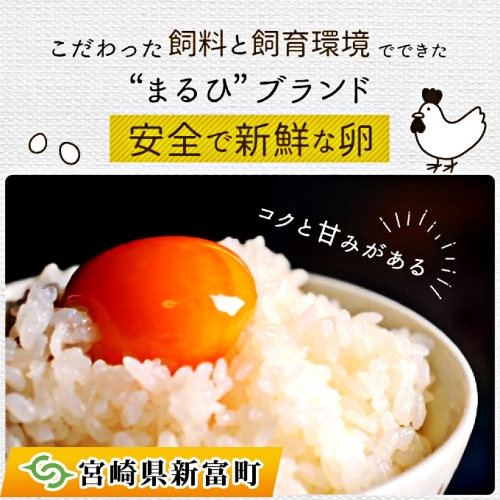 ネッカリッチ赤たまご「児湯一番」(1箱20個)【A14】