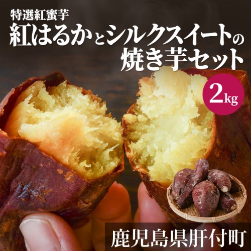 特選紅蜜芋紅はるかとシルクスイートの焼き芋セット　2kg	 825173 - 鹿児島県肝付町