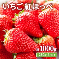 いちご 紅ほっぺ 1000g(250g×4パック)