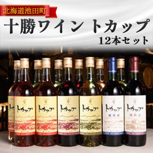 十勝ワイン トカップ12本セット（赤・白・ロゼ）瓶熟成 樽熟成 北海道ワイン 池田町【C002-2-4】 162386 - 北海道池田町