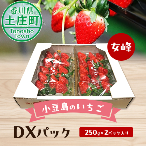 【 小豆島 】【2月からの発送】小豆島のいちご(女峰)DXパック (250g×2パック入り) 果物類 苺 イチゴ 62639 - 香川県土庄町