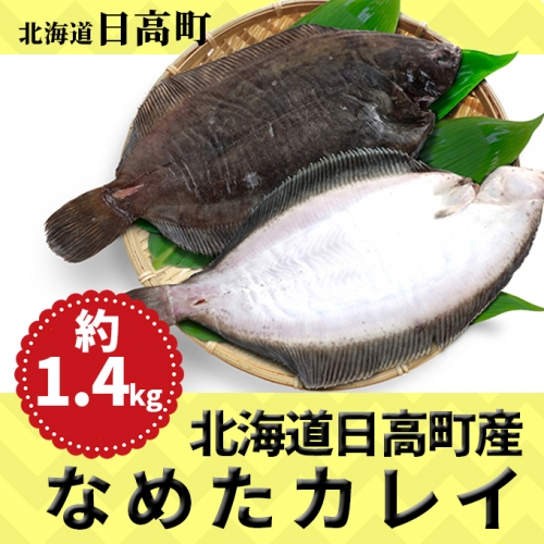 返礼品詳細ページ Au Pay ふるさと納税 北海道日高産なめたカレイ約1 4kg