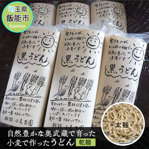 自然豊かな奥武蔵で育った小麦で作ったうどん(乾麺)【太麺】[52210603] 麺類  133597 - 埼玉県飯能市