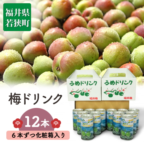 梅ドリンク12本（6本ずつ化粧箱入り） 果汁飲料 ジュース  63583 - 福井県若狭町