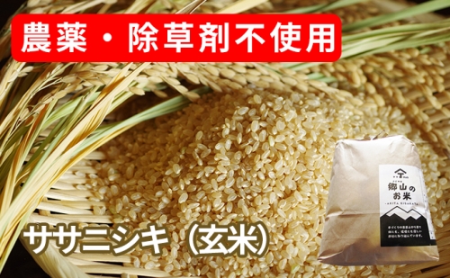 農薬・除草剤不使用で栽培したササニシキ「郷山のお米 2kg」（玄米） 100005 - 秋田県にかほ市