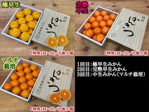 【定期便 全3回】 有田みかん 食べくらべ 3種 化粧小箱 各 約2kg 南泰園 _ZF6315n 1000122 - 和歌山県湯浅町