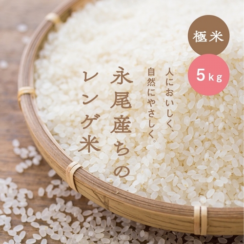 【極米】農家直送1年がかりのれんげ米（5kg）：B012-084 100045 - 佐賀県佐賀市