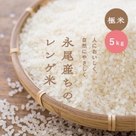【極米】農家直送1年がかりのれんげ米（5kg）：B012-084