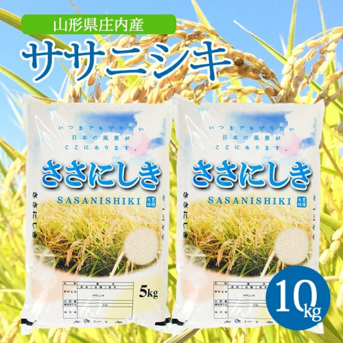 SC0532　令和6年産【精米】ササニシキ　10kg(5kg×2袋) AK 100054 - 山形県酒田市