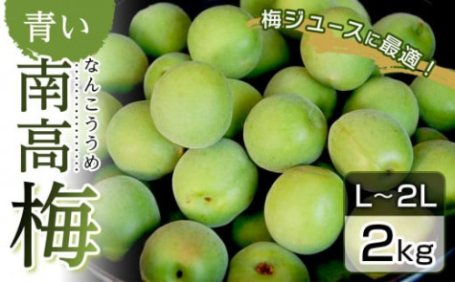 青い南高梅 2kg L〜2L寸 紀州特産 梅酒 梅ジュースに最適! 【先行予約:2025年6月1日以降順次発送】 1000878 - 和歌山県那智勝浦町
