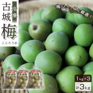 紀州特産 古城梅 3kg [ 梅ジュース 作りに最適!]梅酒 食品