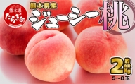 【 先行予約】 桃  ＜5～8玉＞ 約2kg 『厳選した桃をお届けします！！』＜＜2024年6月下旬以降順次発送＞＞【 先行予約 受付 桃 もも 熊本県産 果物 フルーツ 】 087-0656