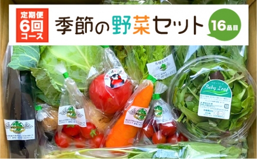 【定期便6回】 季節の野菜セット 16品目 1001547 - 熊本県八代市