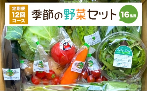 【定期便12回】 季節の野菜セット 16品目 1001548 - 熊本県八代市