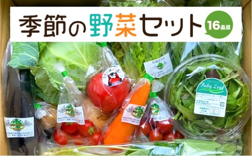 季節の野菜 16品目セット 1001549 - 熊本県八代市