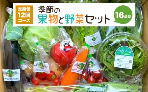 【定期便12回】 季節の果物と野菜セット 16品目 1001550 - 熊本県八代市