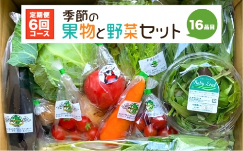 【定期便6回】 季節の果物と野菜セット 16品目 1001551 - 熊本県八代市