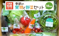 【定期便6回】 季節の果物と野菜セット 16品目