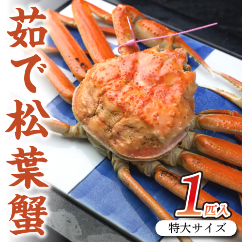 日本海産　ブランド蟹　茹で松葉蟹【厳選】特大サイズ　matubakani1000 1001570 - 京都府京丹後市