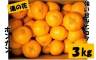 湯の花　ポンカン３kg　【 ポンカン みかん 果物 果物 フルーツ 旬 柑橘 甘い 新鮮 伊豆 南伊豆 】