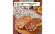 P-10 お菓子の家えいらく モチッシェ/ 米粉 フィナンシェ 食物アレルギー