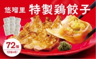 悠瑠里特製鶏餃子72個【宮崎市は餃子購入頻度ランキング ２年連続第１位_M293-003