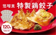 悠瑠里特製鶏餃子120個【宮崎市は餃子購入頻度ランキング ２年連続第１位_M293-004