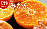 家庭用 訳あり 早生みかん 約5kg - 家庭用 フルーツ みかん 柑橘 be-0025