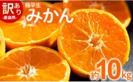 家庭用 訳あり 極早生みかん 約10kg - 家庭用 フルーツ みかん 柑橘 be-0027