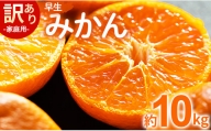 家庭用 訳あり 早生みかん 約10kg - 家庭用 フルーツ みかん 柑橘 be-0028