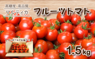 【 2月発送 】 フルーツトマト フルティカ 1.5kg ミニトマト 選べる 発送 月 野菜 新鮮 プチトマト 期間限定 季節限定 トマト 下関 山口