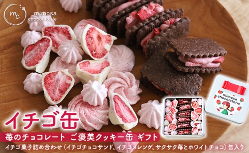 イチゴ缶 苺のチョコレート ご褒美クッキー缶 ギフト 1002155 - 静岡県浜松市