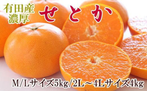 一度は食べていただきたい「有田産のせとか」約4～5kg（サイズおまかせ）★2026年2月中旬頃より順次発送［TM138］ 1002161 - 和歌山県那智勝浦町