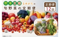 CU-130　【12ヶ月定期便】野菜王国なめがたの旬野菜の定期便