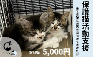 【お礼の品なし】保護猫活動支援〜野良猫から地域で見守るさくら猫に〜 寄付額5,000円