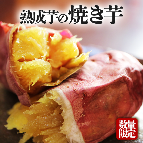 C3-1903/つらさげの里からの贈り物 ~熟成焼き芋~(12パック) | au PAY ふるさと納税
