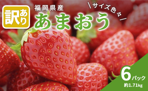 訳あり いちご 2025年2月下旬より発送 あまおう サイズ色々 6パック 約1.71kg 配送不可 離島 1003809 - 福岡県朝倉市