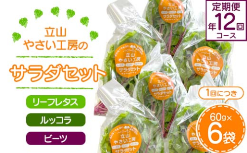 立山やさい工房のサラダセット（60g×6袋）の定期便年12回コース 富山県 立山町 F6T-252 100384 - 富山県立山町