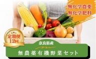 【定期便12回】生命の農法（無化学農薬・無化学肥料栽培）季節の野菜セット