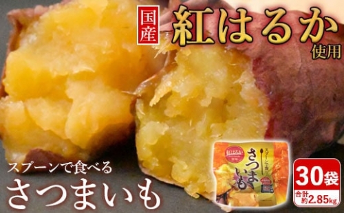BS-352 スプーンで食べるさつまいも 小分け焼き芋 30袋 約2.85kg 1004350 - 鹿児島県薩摩川内市