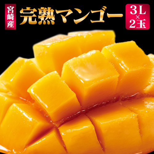＜先行予約＞ 完熟マンゴー 3Lサイズ 2玉 南国宮崎からお届け!! フルーツ 果物 人気 贈答品【C247-26】 100443 - 宮崎県新富町