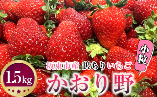 No.271 先行予約「坂東市産」訳ありいちご　かおり野　小粒や規格外品など詰め合わせ1.5kg　ジャムやイチゴミルクなどに
 1004667 - 茨城県坂東市